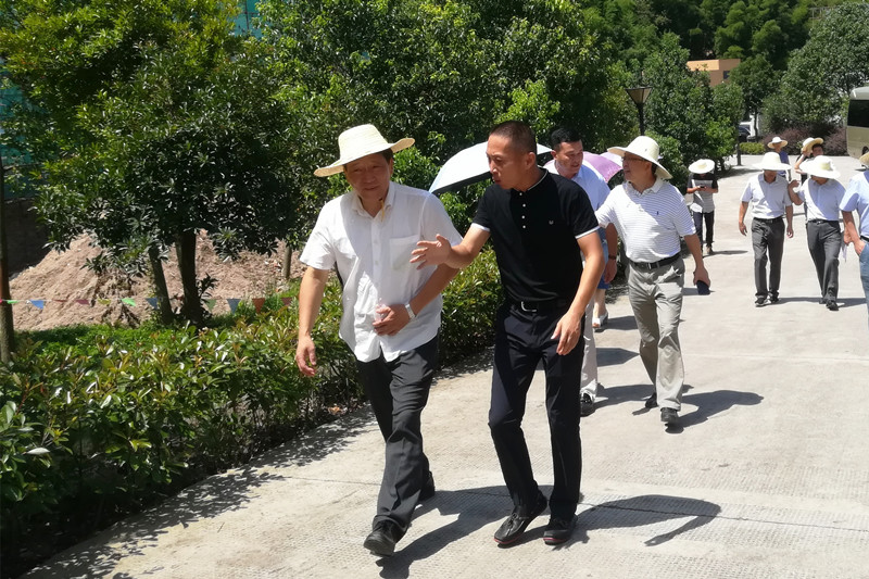 省農業(yè)廳廳長林健東調研浙農現(xiàn)代農業(yè)綜合服務中心