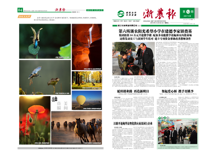 浙農(nóng)報2013年第12期（一、四版）